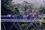 Tree Top Walk