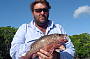 Mangrove Jack