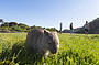 3 Day Ultimate Package (Great Ocean Road, Phillip Island & Wilsons Promontory) includes 2 nights shared accommodation