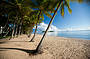 Palm Cove