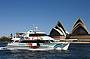 Whale Watching - PM Cruise