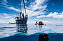 Try an Underwater Camera